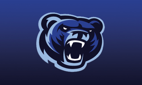 bear head logo 1