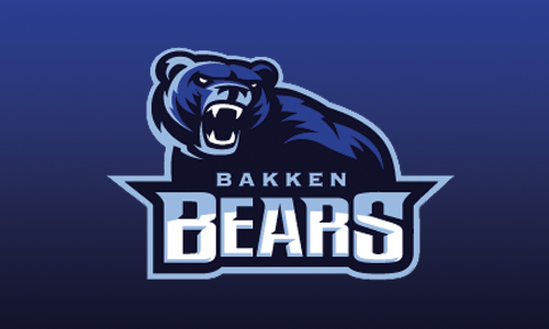 bear logo 2