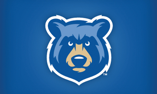 bear head mascot logo