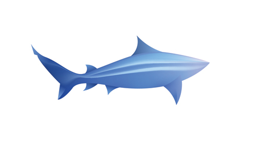 modern shark logo