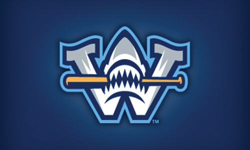 shark baseball logo